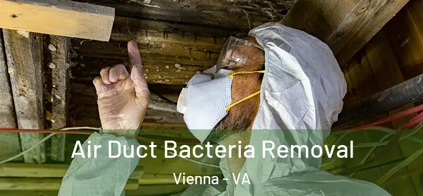  Air Duct Bacteria Removal Vienna - VA
