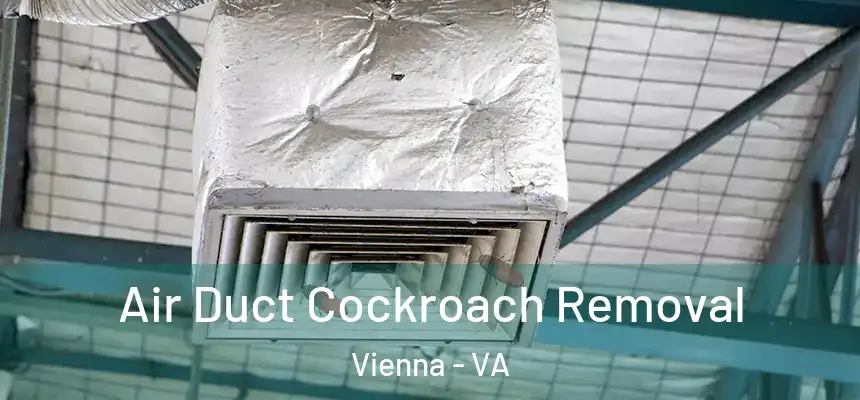  Air Duct Cockroach Removal Vienna - VA
