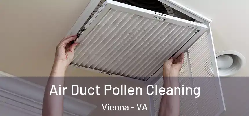  Air Duct Pollen Cleaning Vienna - VA