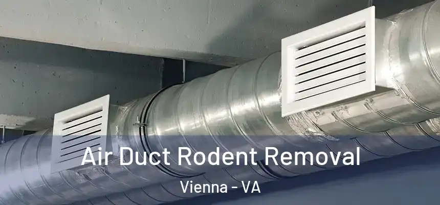  Air Duct Rodent Removal Vienna - VA