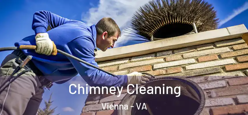 Chimney Cleaning Vienna - VA