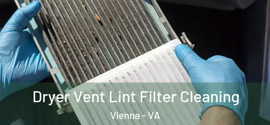  Dryer Vent Lint Filter Cleaning Vienna - VA