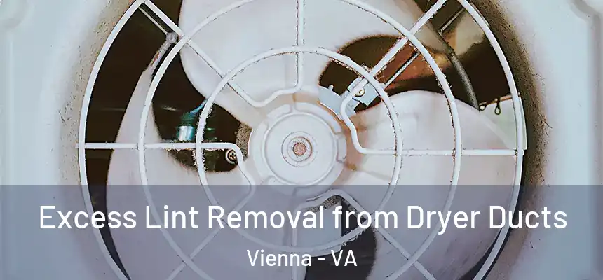  Excess Lint Removal from Dryer Ducts Vienna - VA