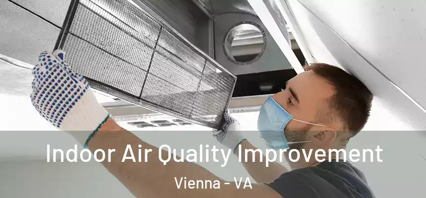  Indoor Air Quality Improvement Vienna - VA