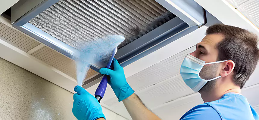 Proactive Dryer Vent & Auxiliary Duct Pollen Cleanup in Vienna, VA