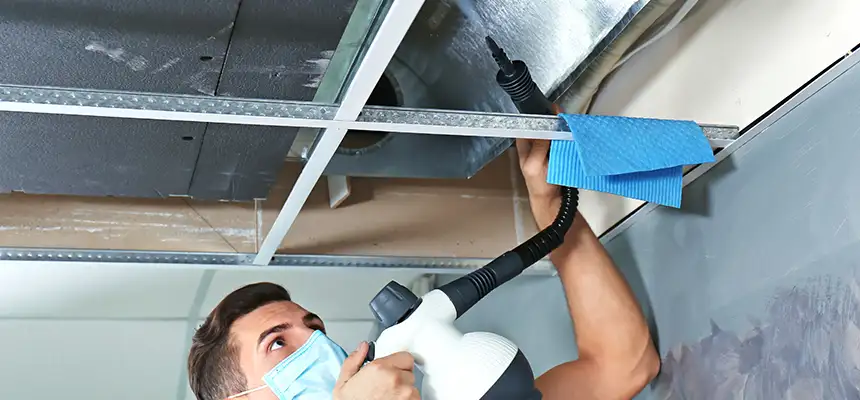 Our Air Duct Rodent Removal Services in Vienna, VA
