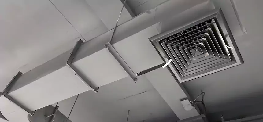 Restorative Allergy Relief Vent Cleaning – Coil, Blower & Housing Detail in Vienna