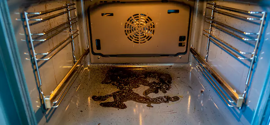 Our Dryer Vent Mold Cleaning Services in Vienna, VA