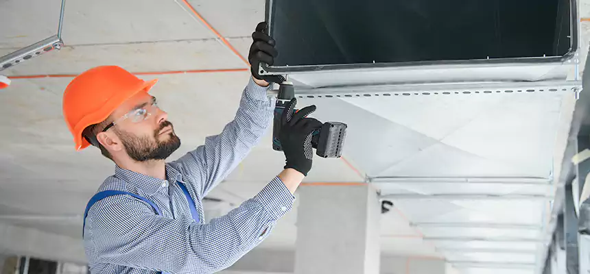 Roof Cap & Exterior Hood Lint Buildup Removal – Vienna