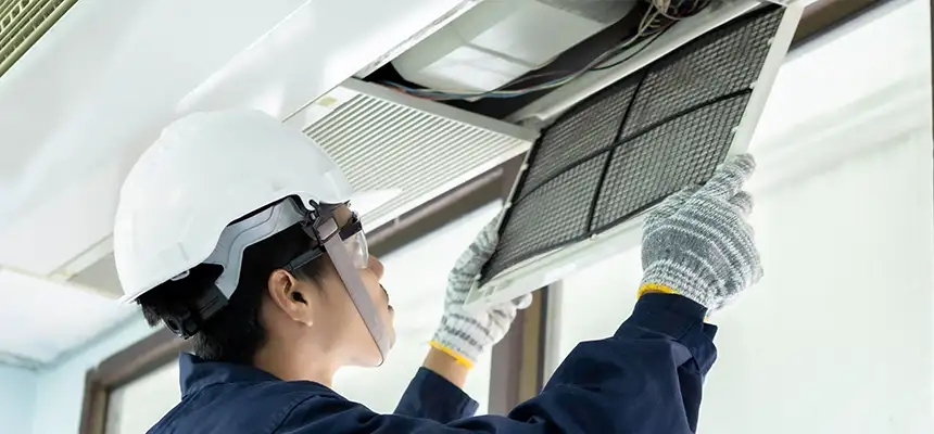 Our Lint Trap Cleaning Service Services in Vienna, VA