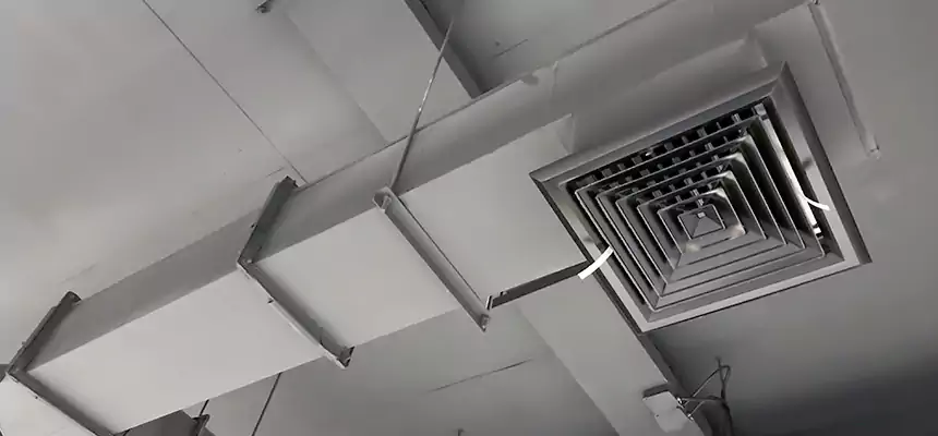 Our Rodent Droppings In Vents Services in Vienna, VA