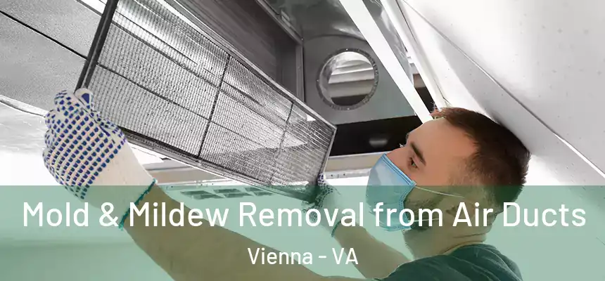  Mold & Mildew Removal from Air Ducts Vienna - VA