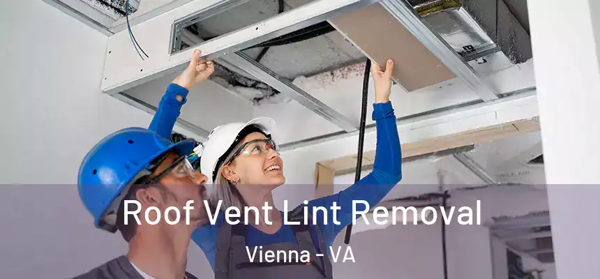  Roof Vent Lint Removal Vienna - VA