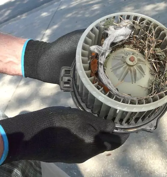 About Air Duct Mice Removal in Vienna, VA