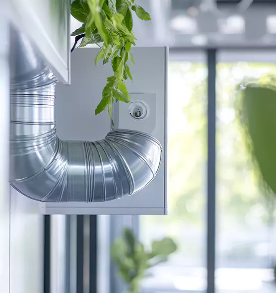 Professional Eco-Safe Dryer Vent Cleaning in Vienna, VA