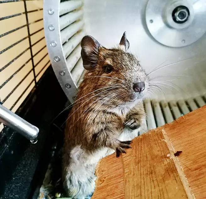 Why Homeowners & Businesses Trust Us Vienna, VA