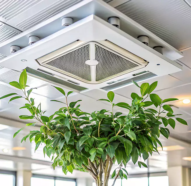 Why Homeowners & Businesses Trust Us in Vienna, VA?